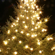 Image for article titled "A Homeless Christmas": Less Than Merry